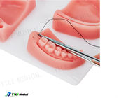 Realistisches Oral Touch Wund-Suture Praxis Pad für die Zahnmedizinische Ausbildung